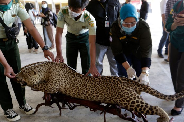 Fighting wildlife trading in Indonesia