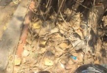 హిమాయతానగర్ గ్రామ చౌరస్తా లో ఆక్సిడెంట్