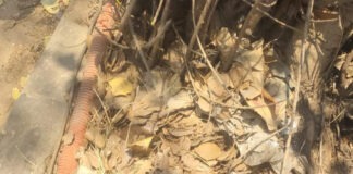 హిమాయతానగర్ గ్రామ చౌరస్తా లో ఆక్సిడెంట్