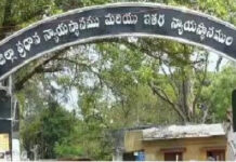 మిట్టి కేఫ్ కోసం టెండర్లను స్వీకరిస్తున్న జిల్లా కోర్టు