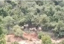 పులిచెర్లలో సత్ఫలితాలు ఇస్తున్న సోలార్ కంచె