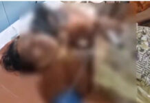 మదనపల్లె: మహిళా రైతుపై తేనెటీగల దాడి.. తీవ్ర గాయాలు.