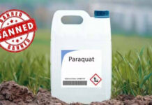 “గడ్డి మందు నిషేధం: యువత రక్షణ కోసం దిశానిర్దేశం”.|