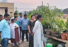 టెర్రస్ గార్డెన్తో అధిక లాభాలు