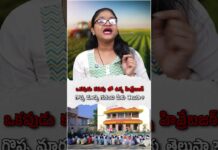 Bharat Aawaz 🌟ఈ ఊరిలో అందరూ కోటీశ్వరులే! 💸 The Village of Millionaire Farmers in India | Hiware Bazar Story 🔖