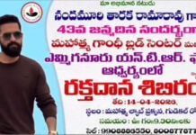 ఎమ్మిగనూరు లోఎన్టీఆర్ 43వ జన్మదిన సందర్భంగా