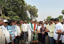 సుల్తానాబాద్ : వడ్లు, మొక్కలు కొనుగోలు కేంద్రాలు ప్రారంభం