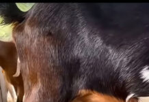 ఆచరణ లేని జీవితాలు !