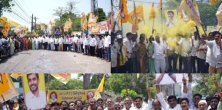 టిడిపి జాతీయ వర్కింగ్ ప్రెసిడెంట్ గా మంత్రి నారా లోకేష్