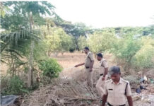 రొంపిచర్ల మండలంలో ముమ్మర తనిఖీలు నిర్వహించిన పోలీసులు