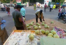 కార్మికులకు పుచ్చకాయలు పంపిణీ చేసిన జర్నలిస్ట్ సాంబ