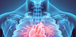 చీరాలలో ఉచిత మెగా కార్డియాక్ క్యాంప్, గుండె ఆరోగ్యంపై అవగాహన