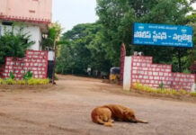 నల్లబెల్లి ఎస్ఐగా సాయి ప్రసన్నకుమార్ బాధ్యతలు ఉన్నారు తీసుకున్నారు….