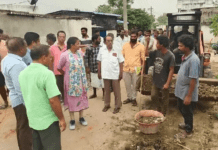 ప్రత్యేక పారిశుద్ధ్య పనులు చేపట్టాలి