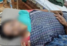 నిమ్మలపల్లి లో పాము కాటుకు మహిళ మృతి.