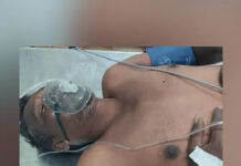 రైతుపై తేనెటీగల దాడి పరిస్థితి విషమం.