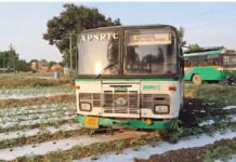 పంటపొలాల్లోకి దూసుకెళ్లిన ఆర్టీసీ బస్సు.. రోడ్డుపై విమర్శలు.