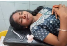 జింక అడ్డొచ్చి ప్రమాదం.. తల్లి, ఇద్దరు కుమార్తెలకు గాయాలు.