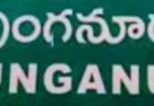 పుంగనూరు ఎద్దుల పరుషలో ఆకట్టుకున్న ఒంగోలు జాతి ఎద్దులు