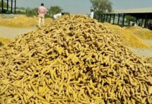 నిజామాబాద్: ఏటెట పెరుగుతున్న కౌలు ధరలు