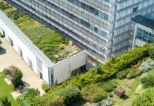 The Green Premium Takes Over Commercial Office Spaces
