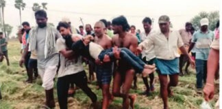గొర్రెను కాపాడబోయి మృత్యువు బడిలోకి….!