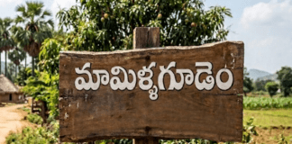 “పదేళ్లుగా కిడ్నీ వ్యాధితో చావులు పట్టించుకోని పాలకులు!”