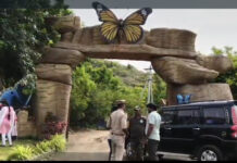 ఎన్టీఆర్ జిల్లా మూలపాడు బటర్ఫ్లై పార్కును సందర్శించిన జిల్లా కలెక్టర్ లక్ష్మీశ