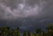 Weather Alert: Kalabaisakhi Storms to Provide Brief Relief