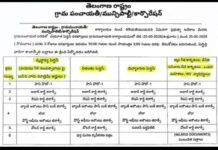 తెలంగాణ రాష్ట్రం : కొత్తగా ఏర్పడిన పెన్షన్లు దరఖాస్తు సిద్ధం సిద్ధం..!