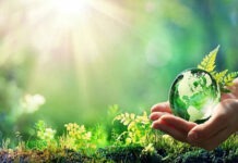 Eco Restraint: GRAM 2026 Postponed For Fuel Conservation