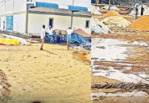 అకాల వర్షాలు: తడిసిన ధాన్యం.. అల్లాడుతున్న రైతన్న! (లేదా)