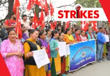 Strike Averted: Essential Services Act Enforced in Shimla