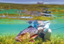 Blue Economy: The Mariculture Roadmap