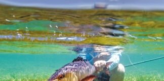 Blue Economy: The Mariculture Roadmap