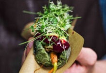 Algae-Based Gastronomy Goes Mainstream