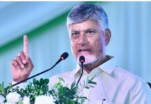 రేపు చంద్రబాబు కావలి పర్యటన షెడ్యూల్ ఇదిగో!