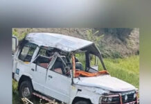 పుంగనూరు: అదుపుతప్పి పొలాల్లోకి వెళ్లిన వాహనం