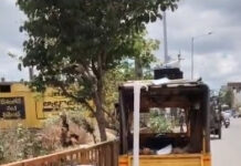 “పుంగనూరులో చిరు వ్యాపారులకు గొడుగుల పంపిణీ..”