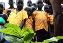 Climate Literacy Becomes Mandatory Across G7 Public School Systems