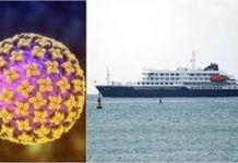 Global Health Agencies Monitor Hantavirus Outbreak