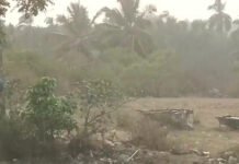 పుంగనూరు నియోజకవర్గంలో ఓ మోస్తరుగా వర్షం