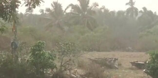 పుంగనూరు నియోజకవర్గంలో ఓ మోస్తరుగా వర్షం