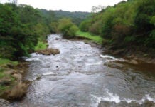 Rising Tensions: The Brewing Conflict Over Mhadei River Diversion