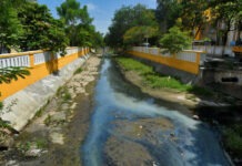 Heritage Revived: Grand Canal Restoration Phase II