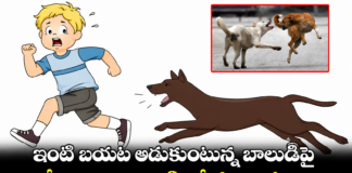 ఊర కుక్క దాడిలో బాలుడికి తీవ్ర గాయాలు.|