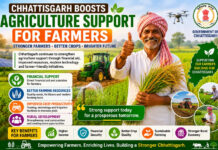 Chhattisgarh Boosts Agriculture Support for Farmers|