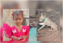జాహ్నవి మిస్సింగ్ కేసు.. పెంపుడు కుక్కకు జీపీఎస్ ట్రాకర్