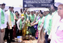 “పచ్చదనానికి శ్రీకారం!
