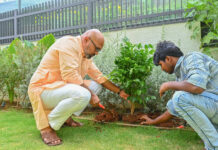 పర్యావరణ పరిరక్షణలో భాగస్వామ్యం: మొక్కలు నాటిన ఎంపీ అరవింద్
